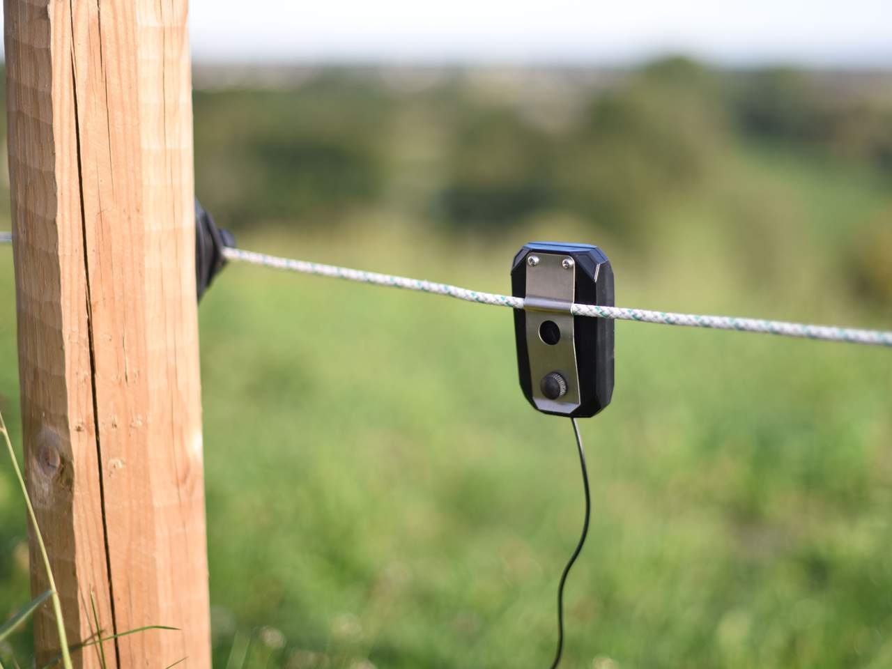 Pulse Flash - Image 4 of 5