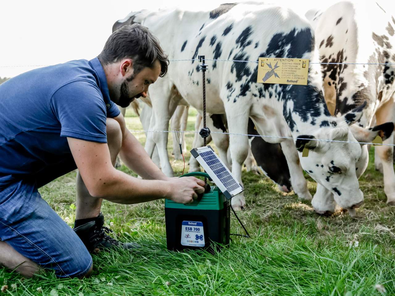 ESB 700 - Image 7 of 11