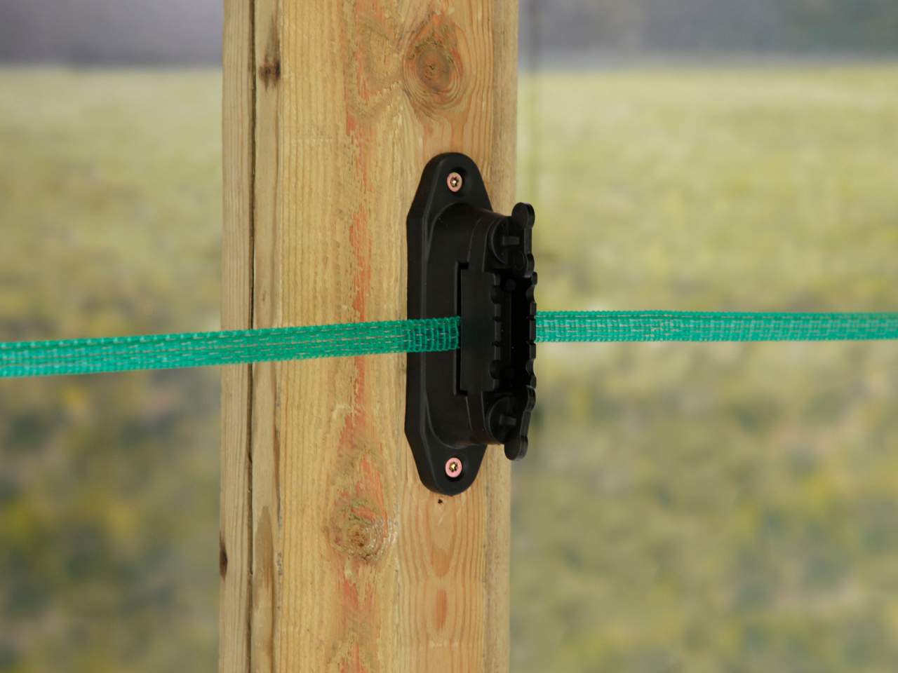 Tape - Image 24 of 26