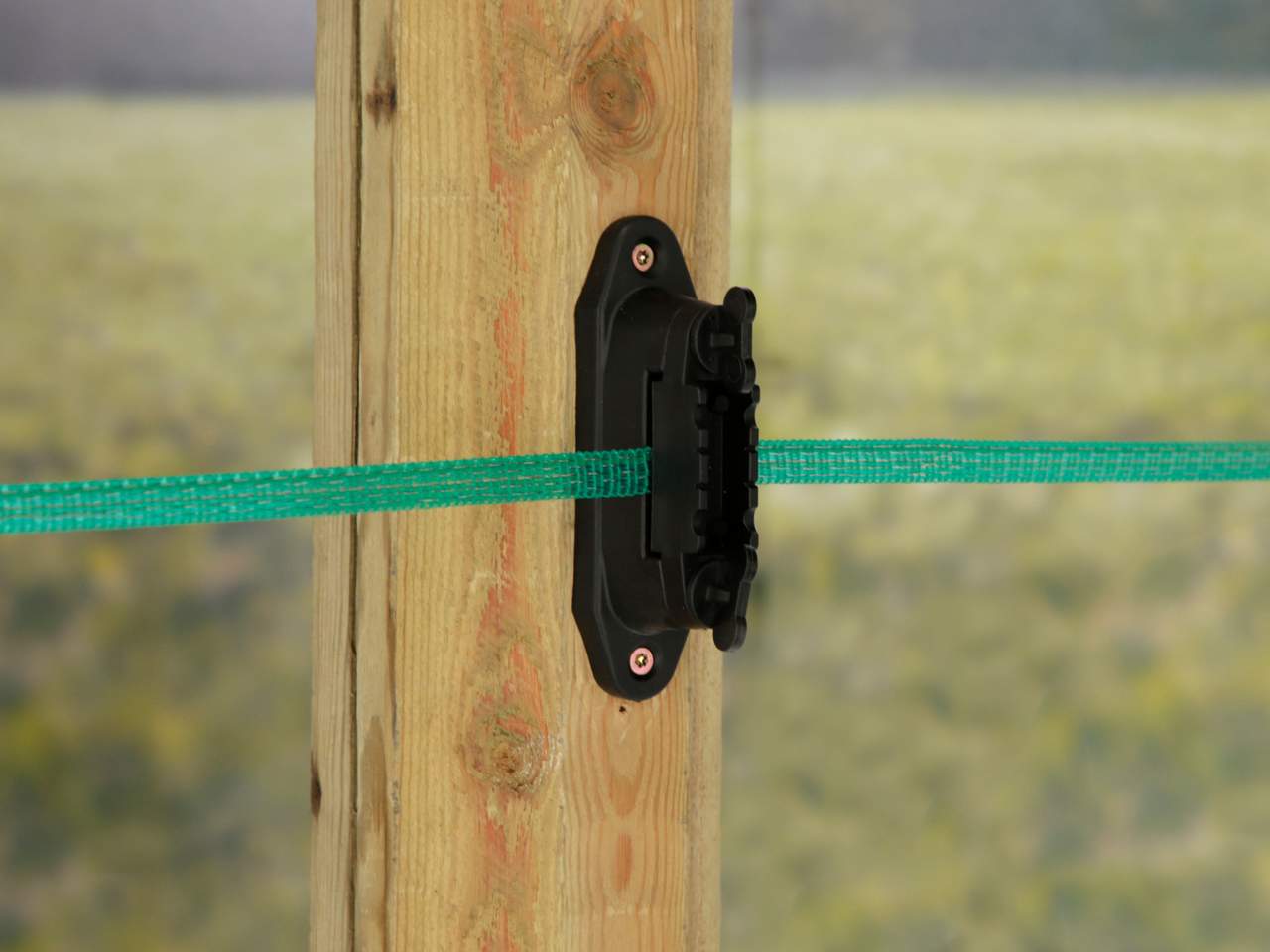 Tape - Image 24 of 26