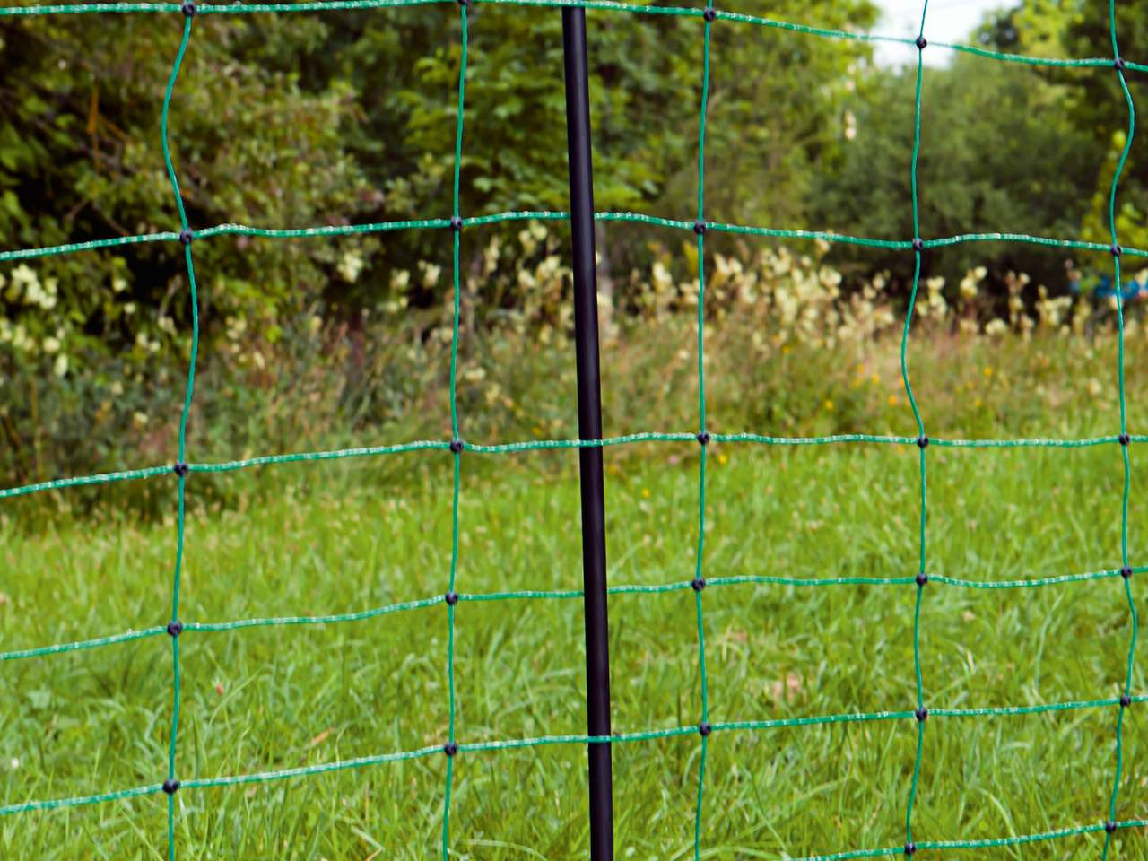 OviNet green - Image 7 of 7