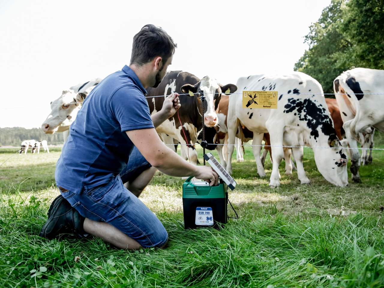 ESB 700 - Image 10 of 11