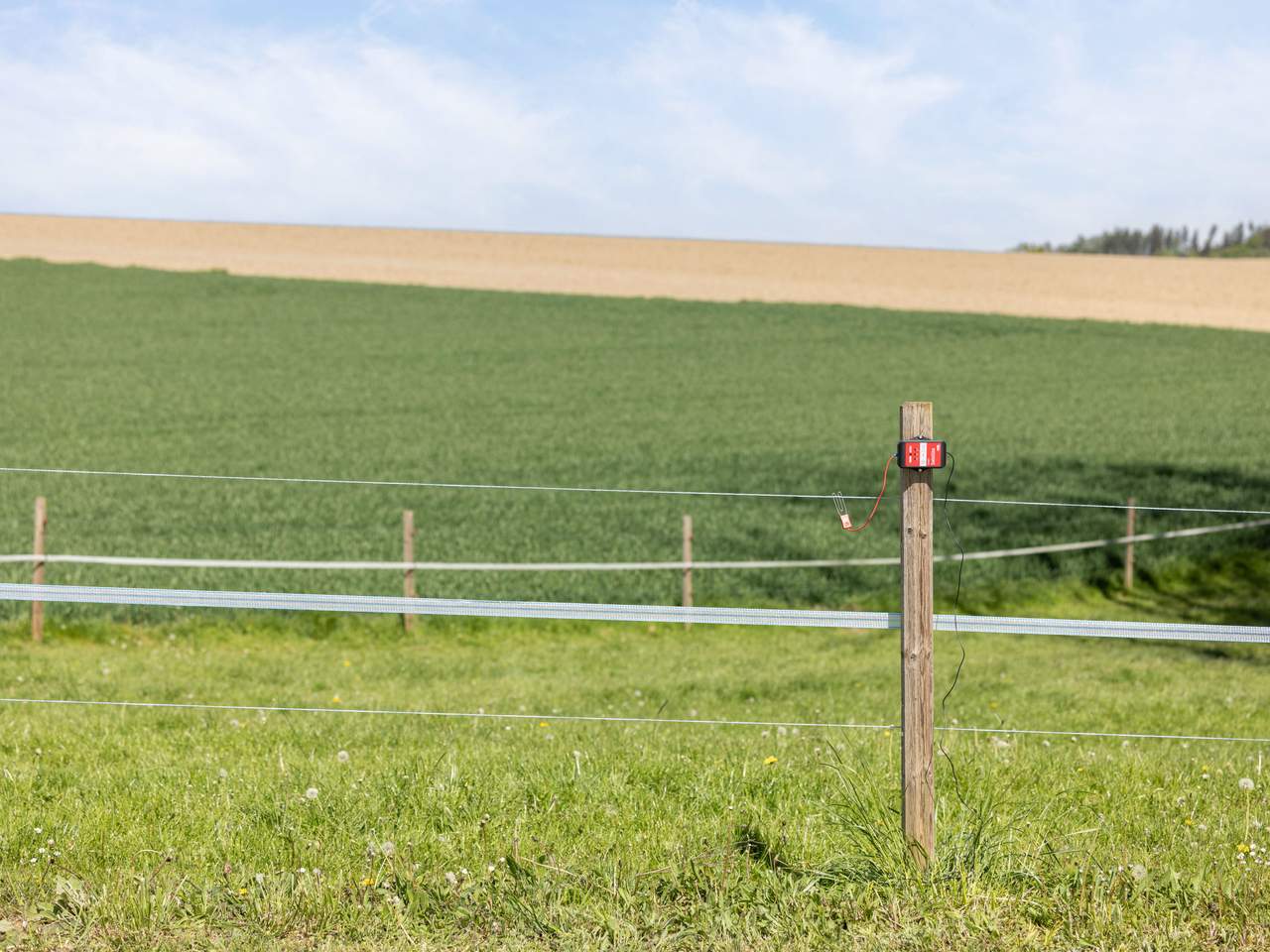 AKO Smart Satellite - Image 12 of 18