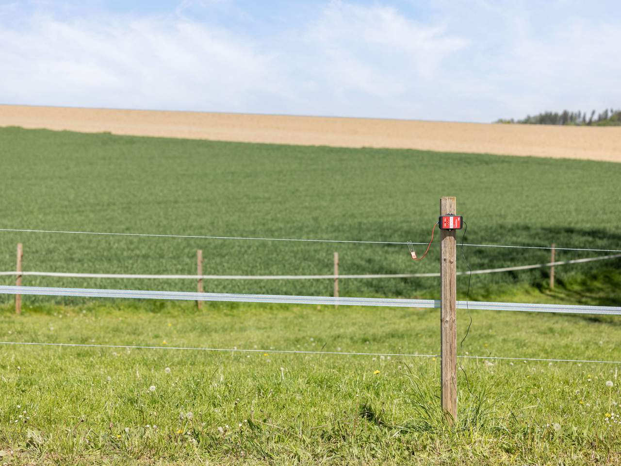 AKO Smart Satellite - Image 12 of 18