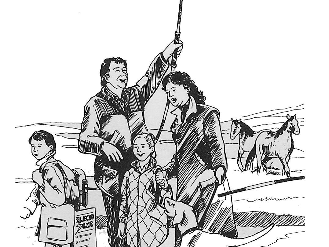 Electric Cattle Gate Electro Gate - Image 3 of 15