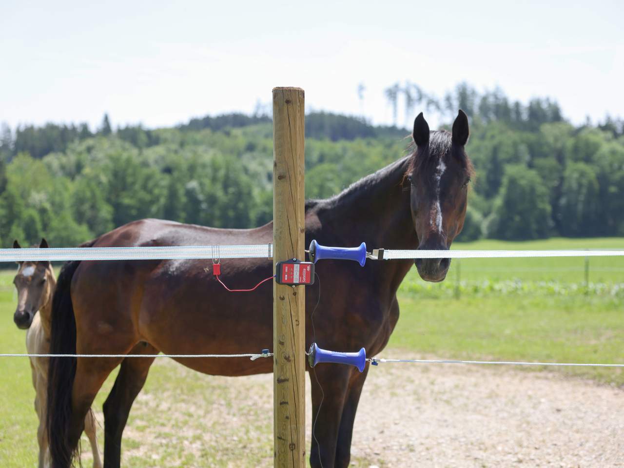 AKO Smart Satellite - Image 15 of 18