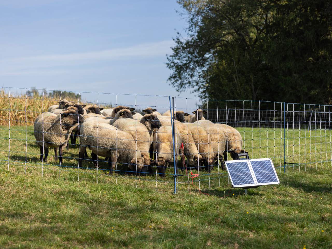Support Post for Field Netting - Image 18 of 21