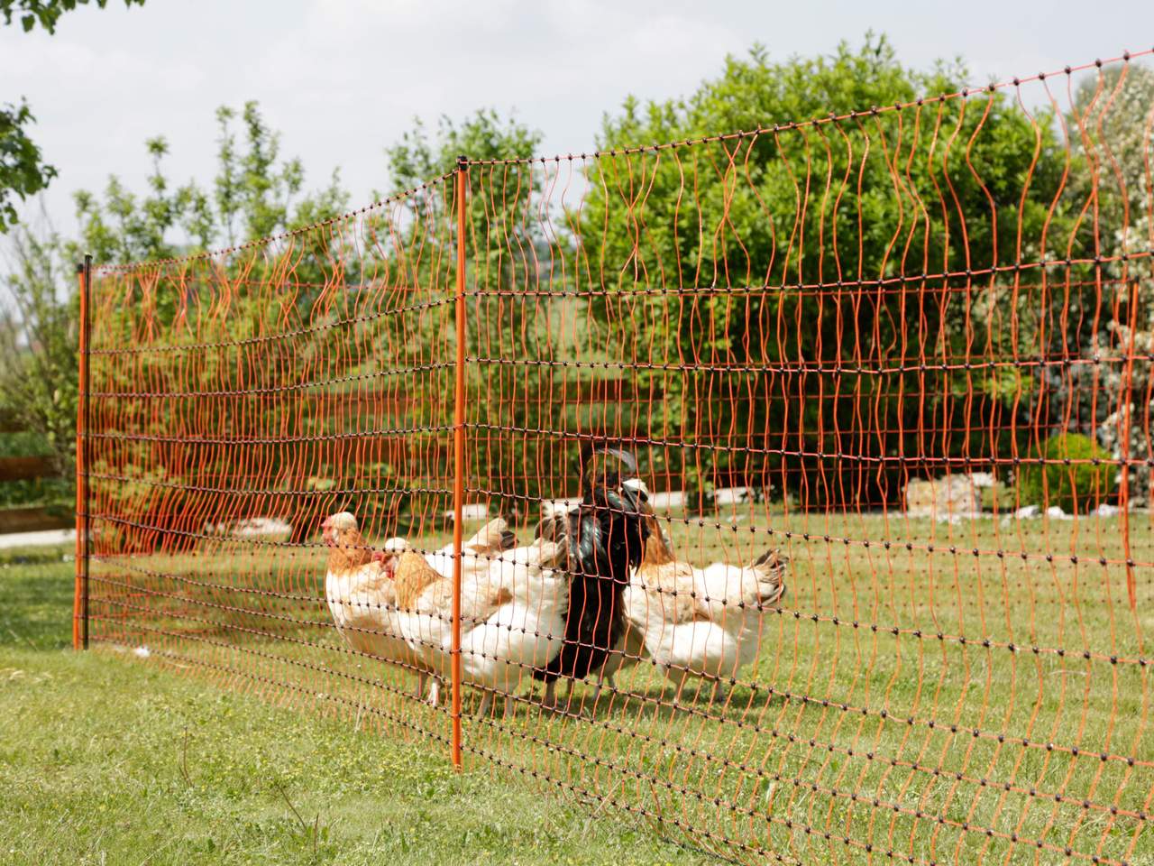 Support Post for Field Netting - Image 20 of 21