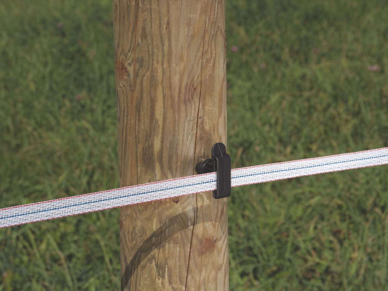 Tape - Image 22 of 26