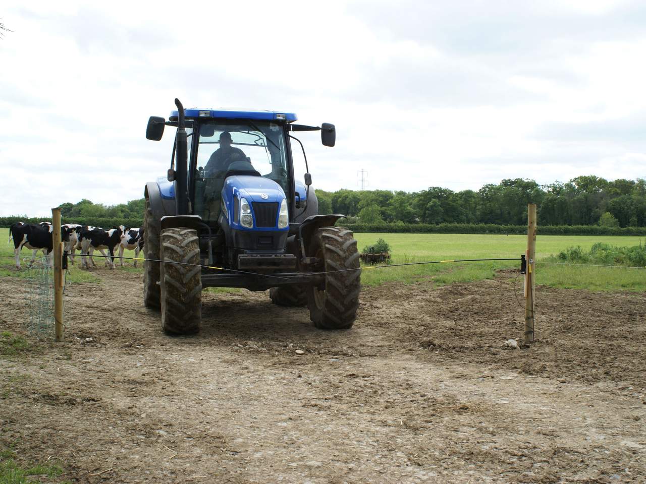Electric Cattle Gate Electro Gate - Image 6 of 15