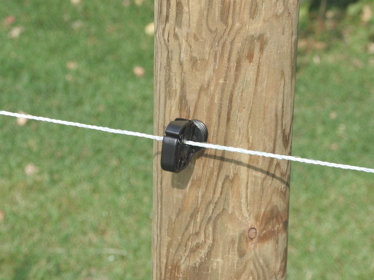 Poly Wire Essentials - Image 5 of 8