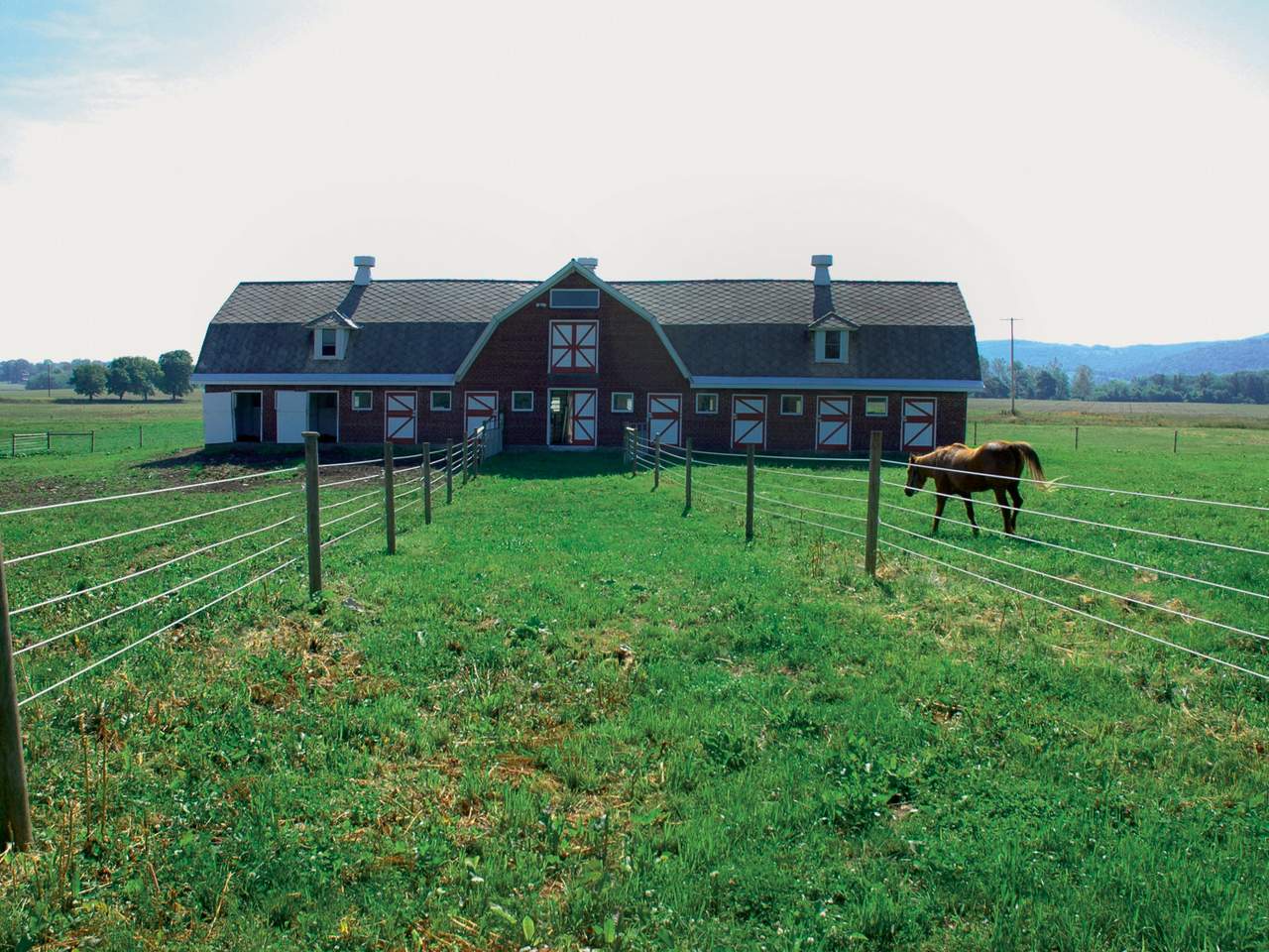 Premium Horse Wire - Image 12 of 25