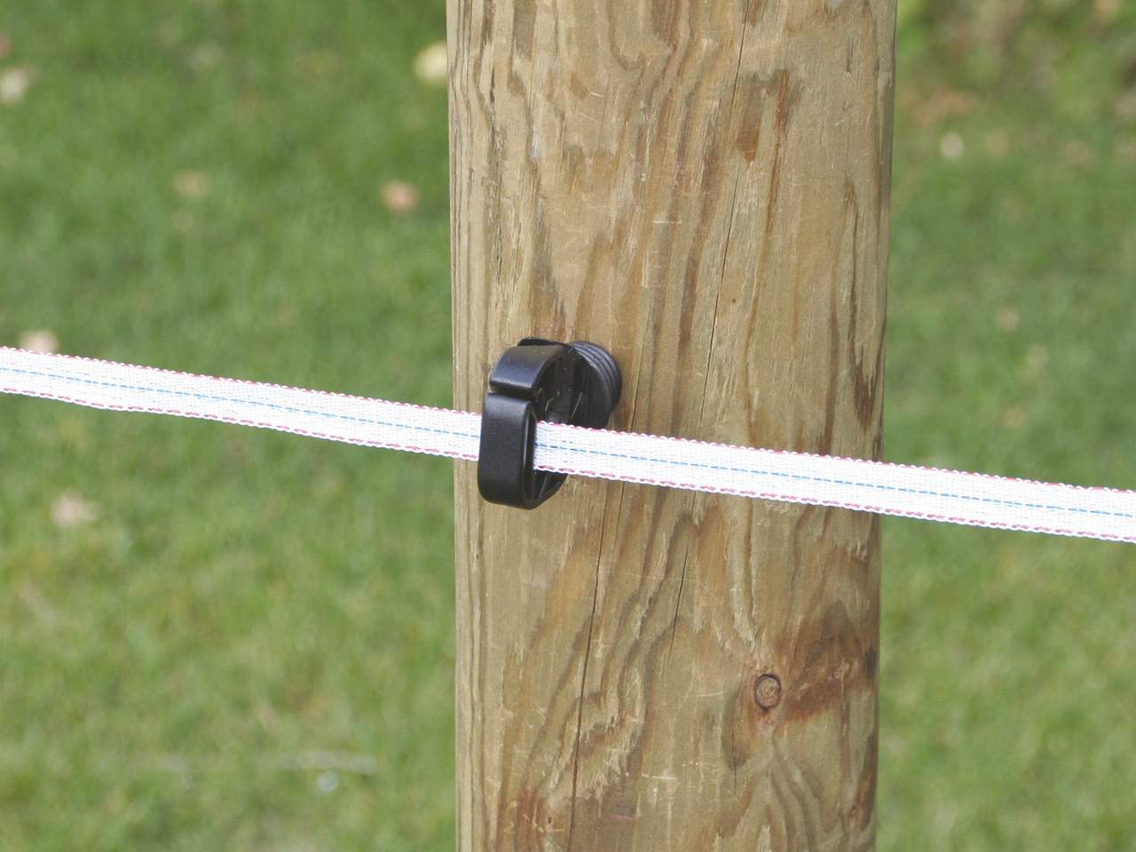 Tape - Image 21 of 26