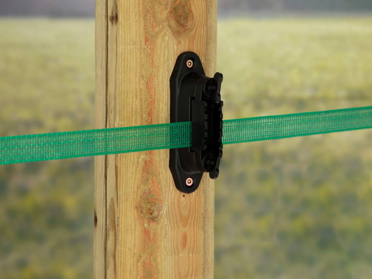 Tape - Image 25 of 26