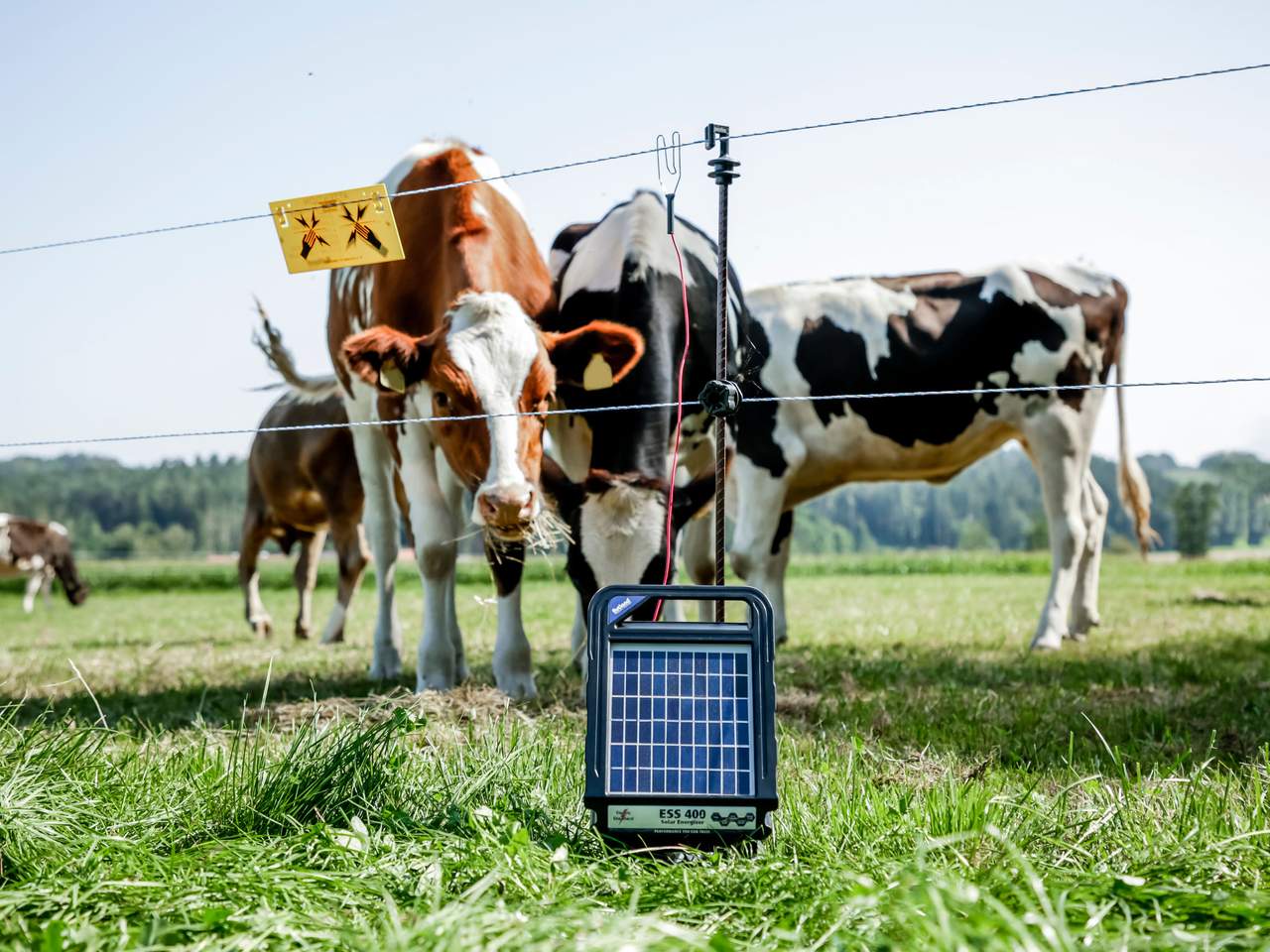 ESS 400 - Image 3 of 7