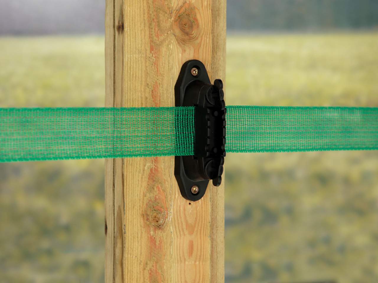 Tape - Image 26 of 26