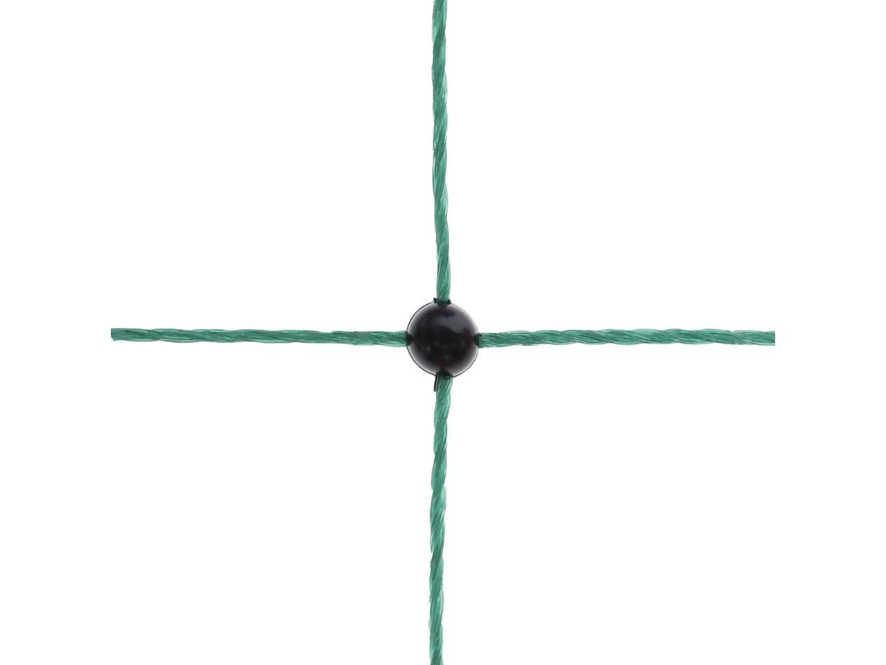 Premium Poultry Net