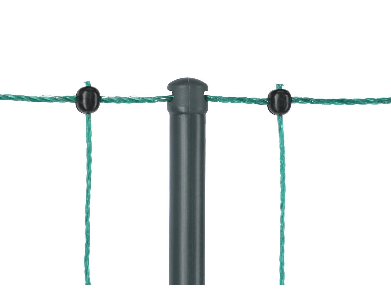 Premium Poultry Net