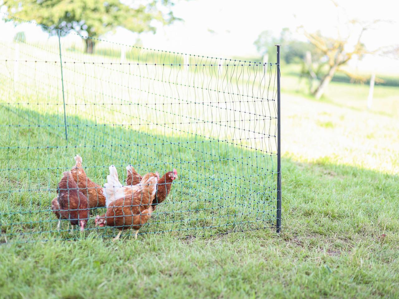 Support Post for Field Netting