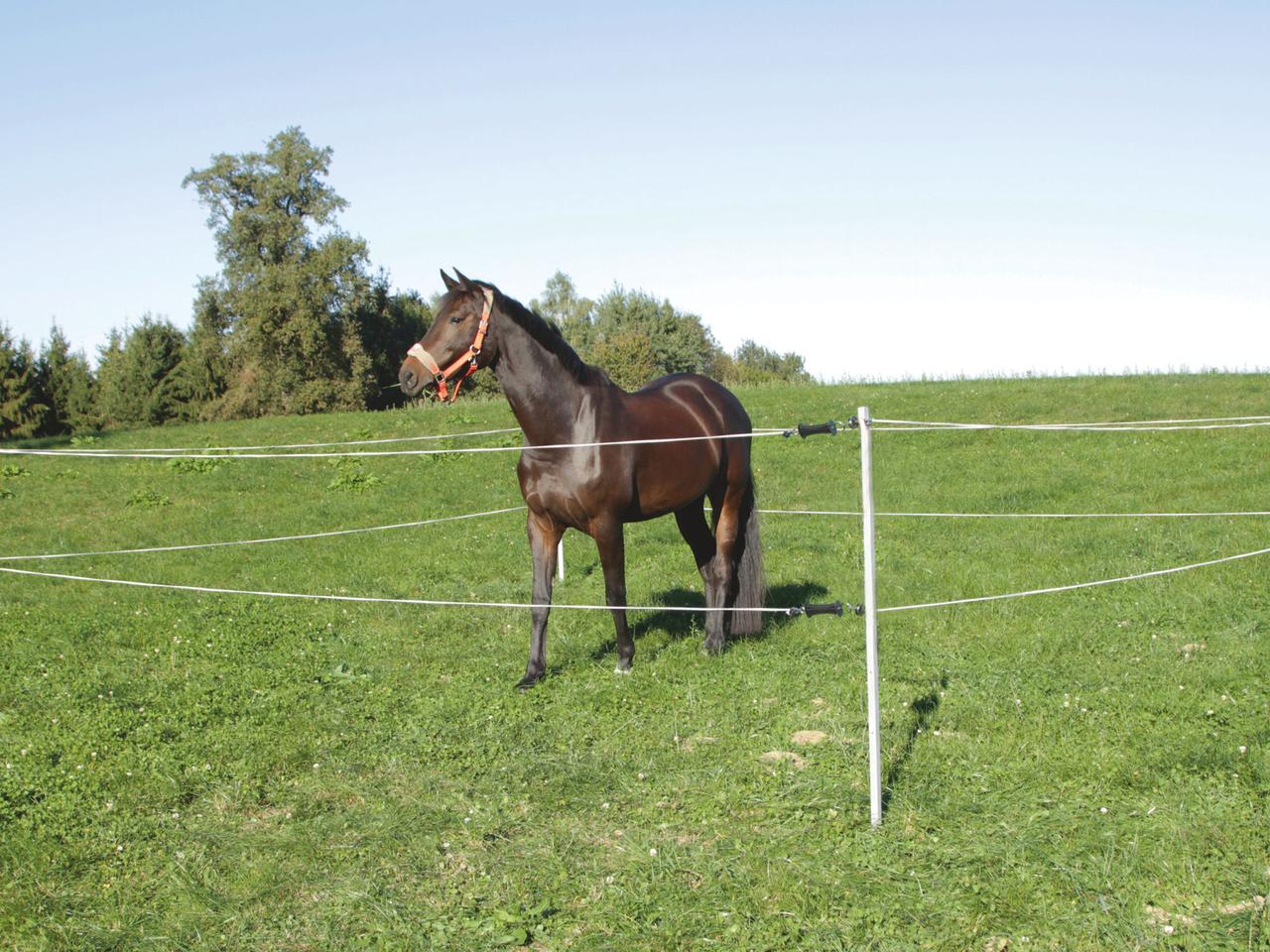 Tournament / Paddock Set 7 x 7 m