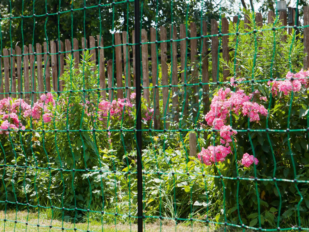 Poultry Netting