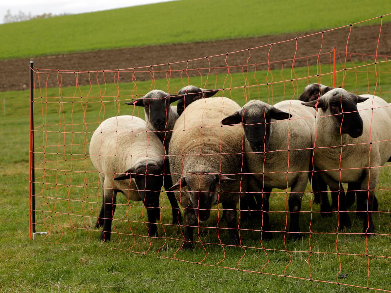 Support Post for Field Netting