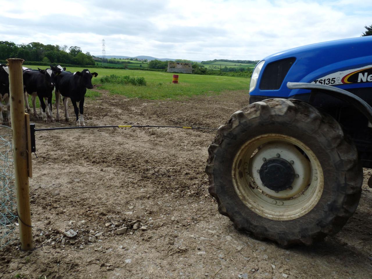 Electric Cattle Gate Electro Gate