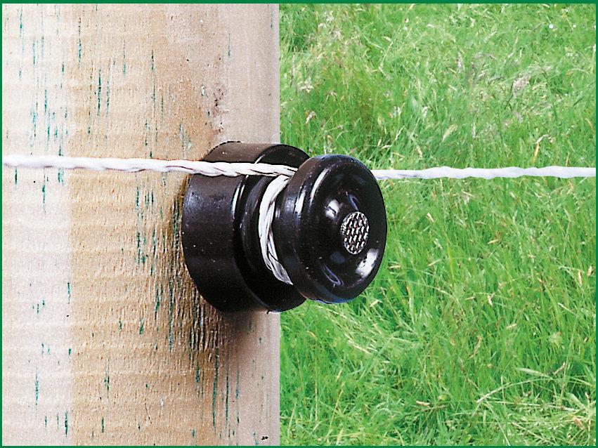 Nail Insulator