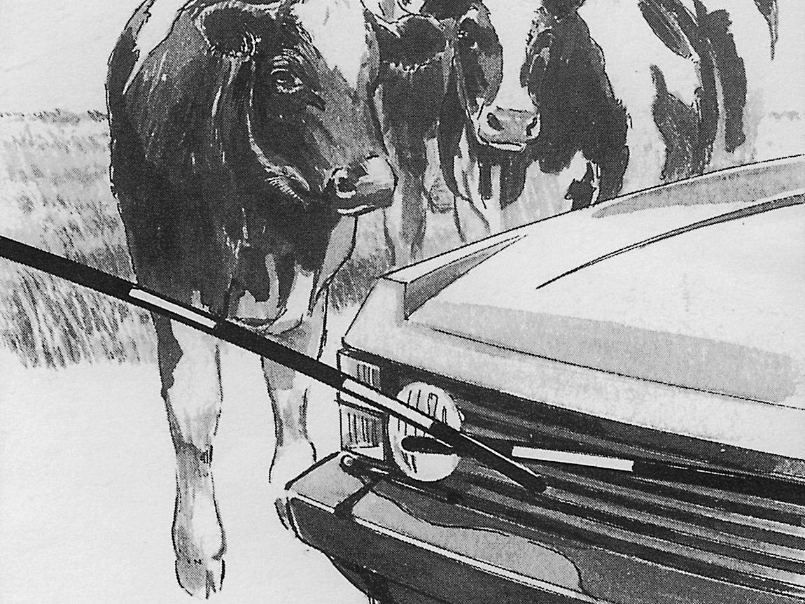 Electric Cattle Gate Electro Gate