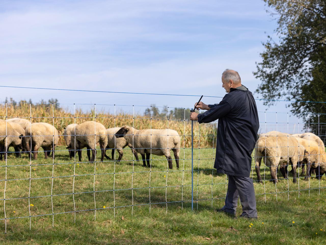 Supplementary Set for Pasture Nets WolfStop