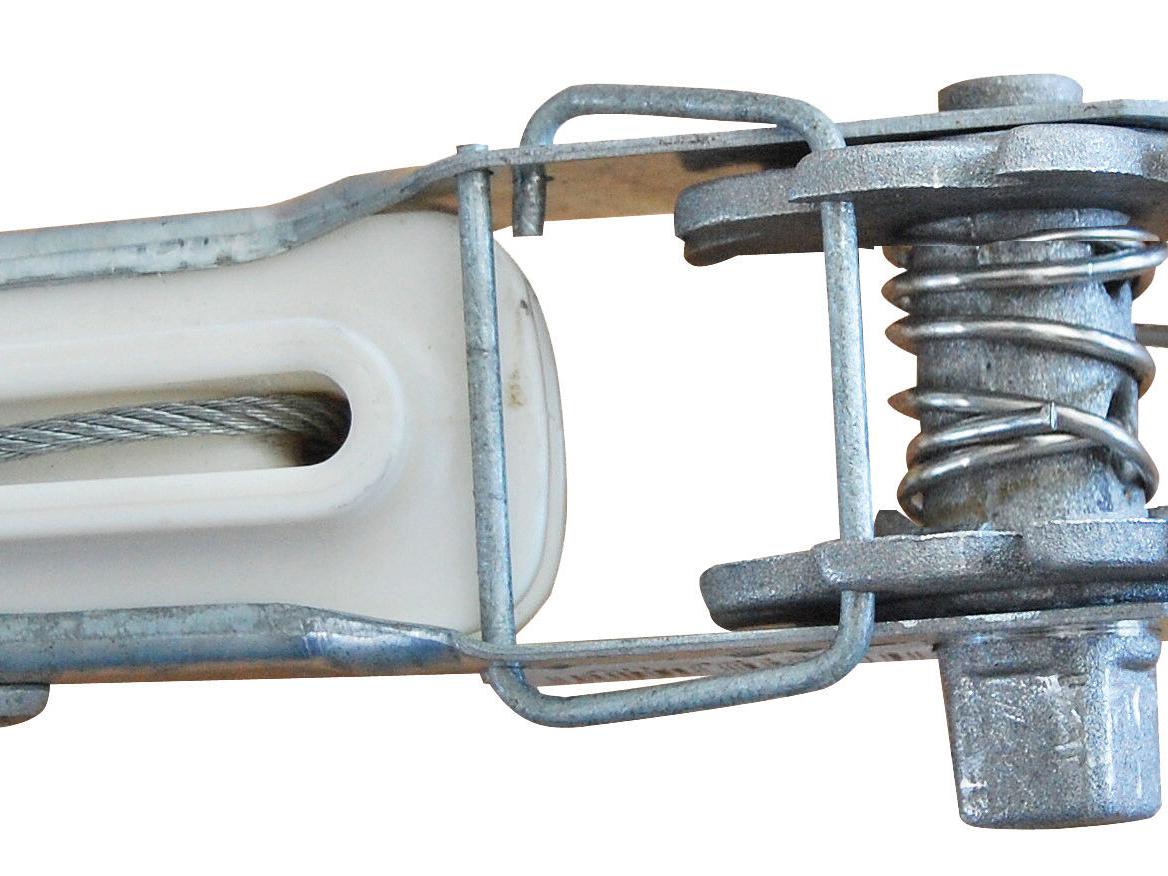 Premium Horse Wire