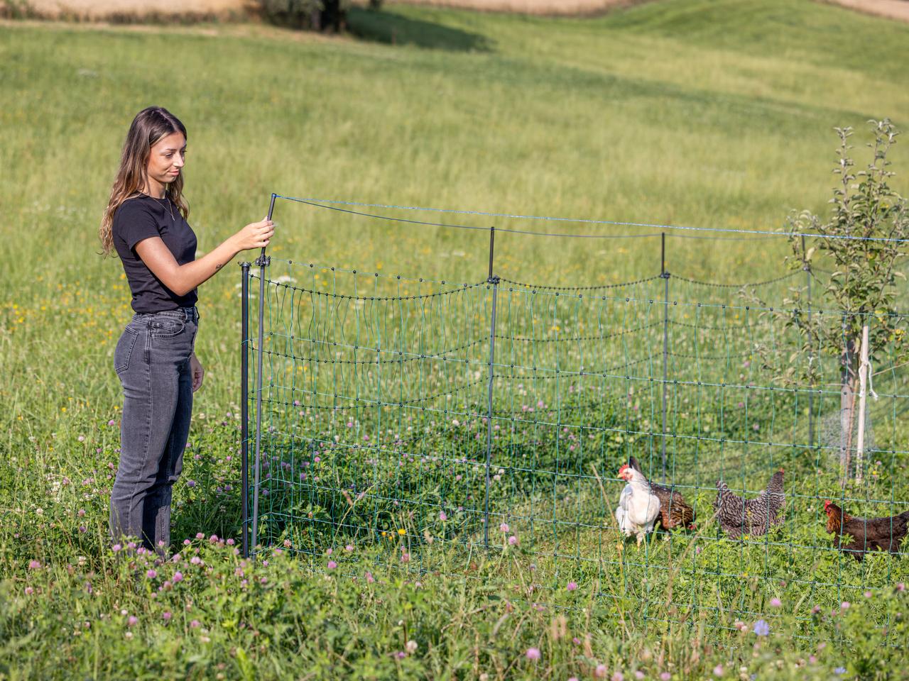 Supplementary Set for Pasture Nets WolfStop