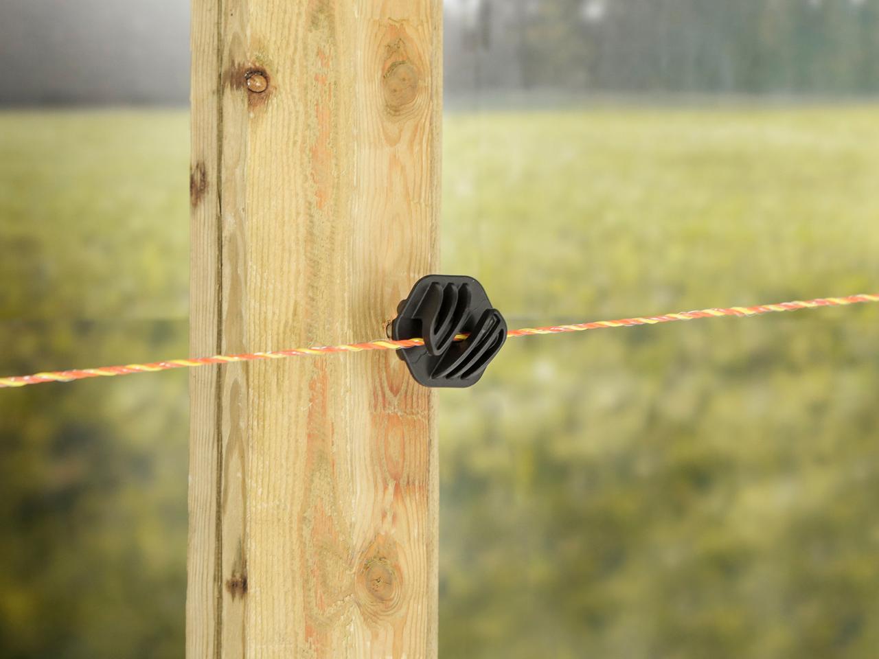Poly Wire