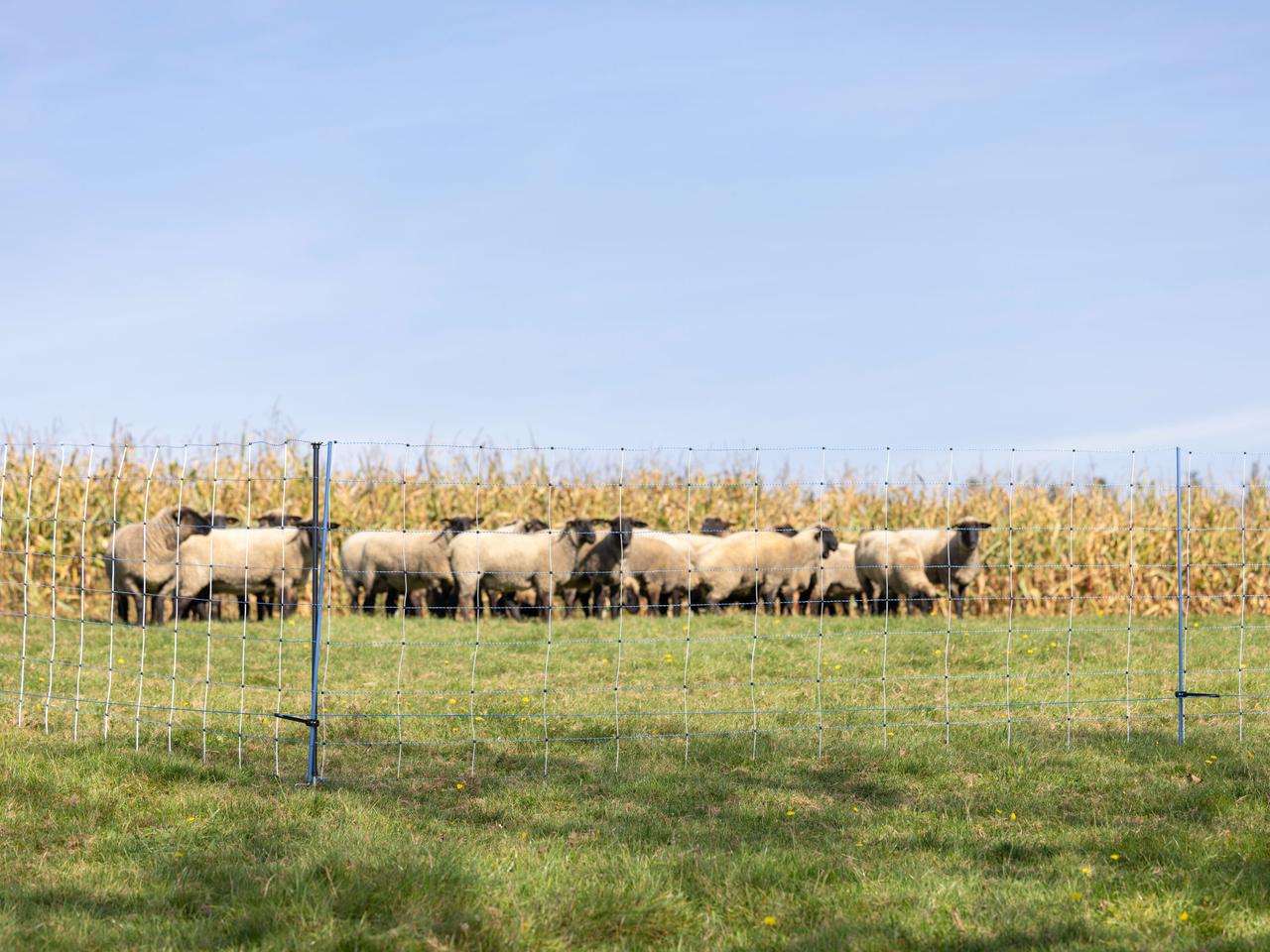 Support Post for Field Netting