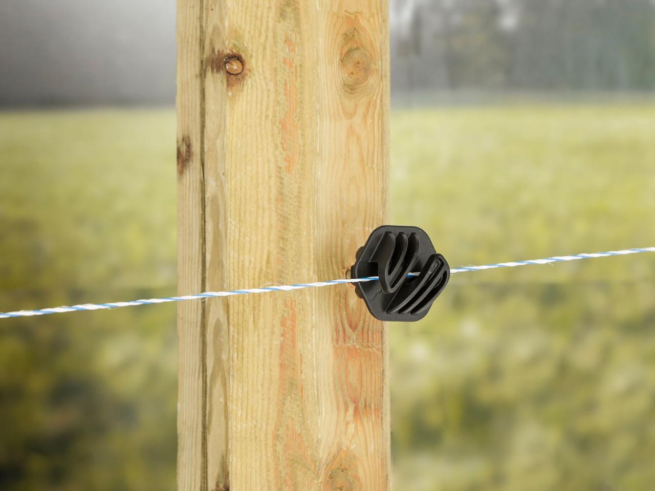 Poly Wire Essentials