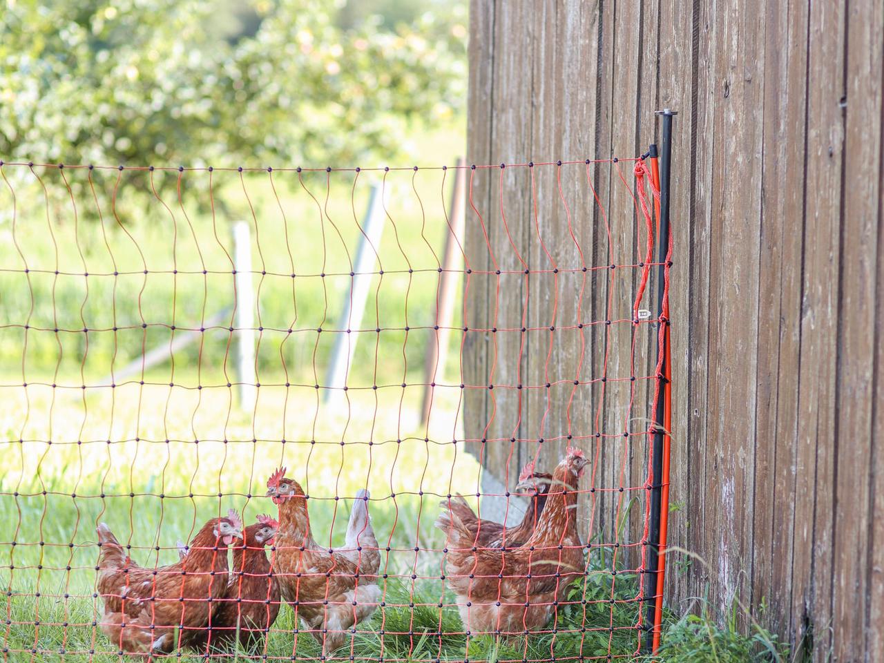 Support Post for Field Netting