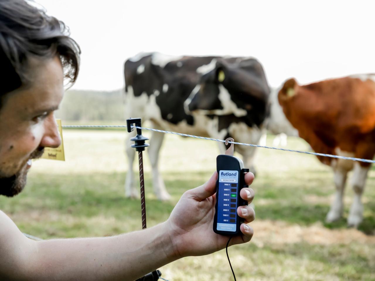 Fence Tester