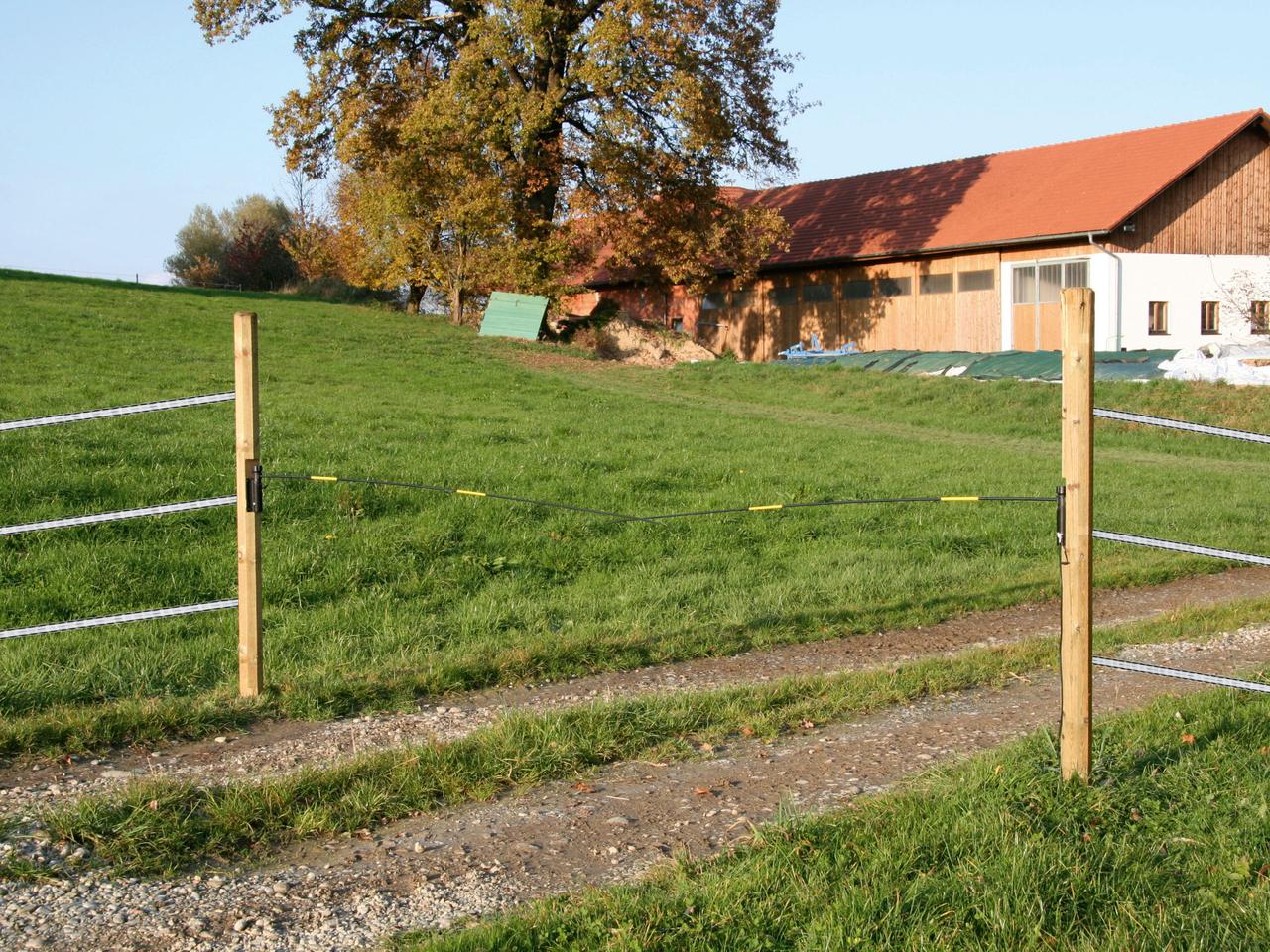 Electric Cattle Gate Electro Gate