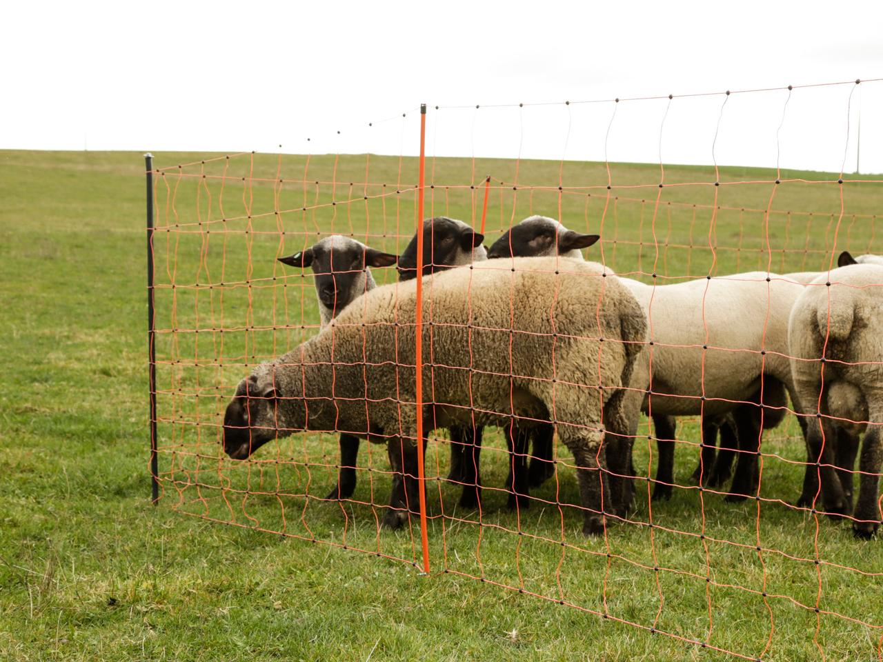 Support Post for Field Netting