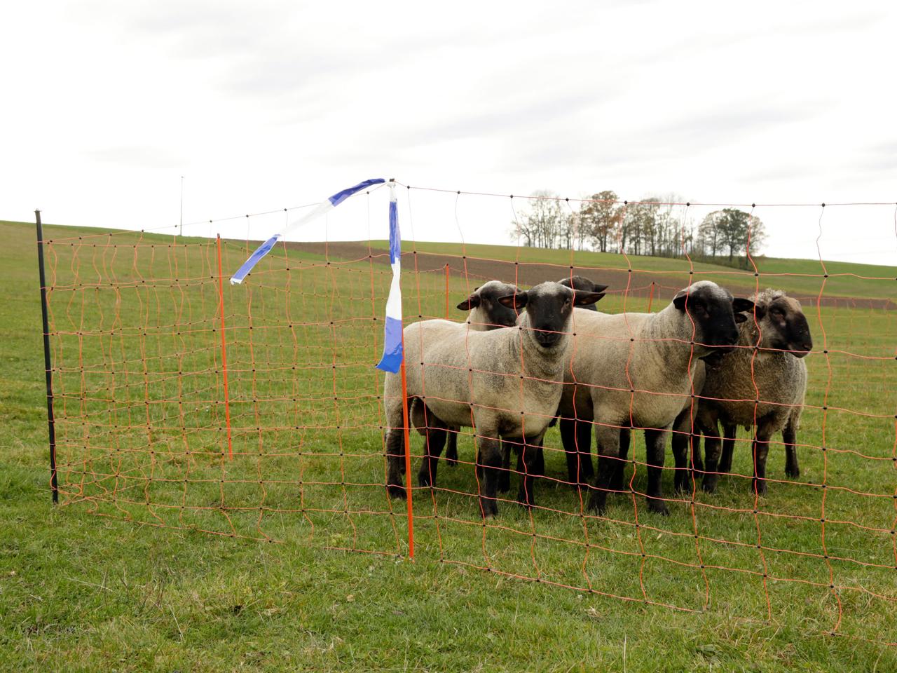 Support Post for Field Netting
