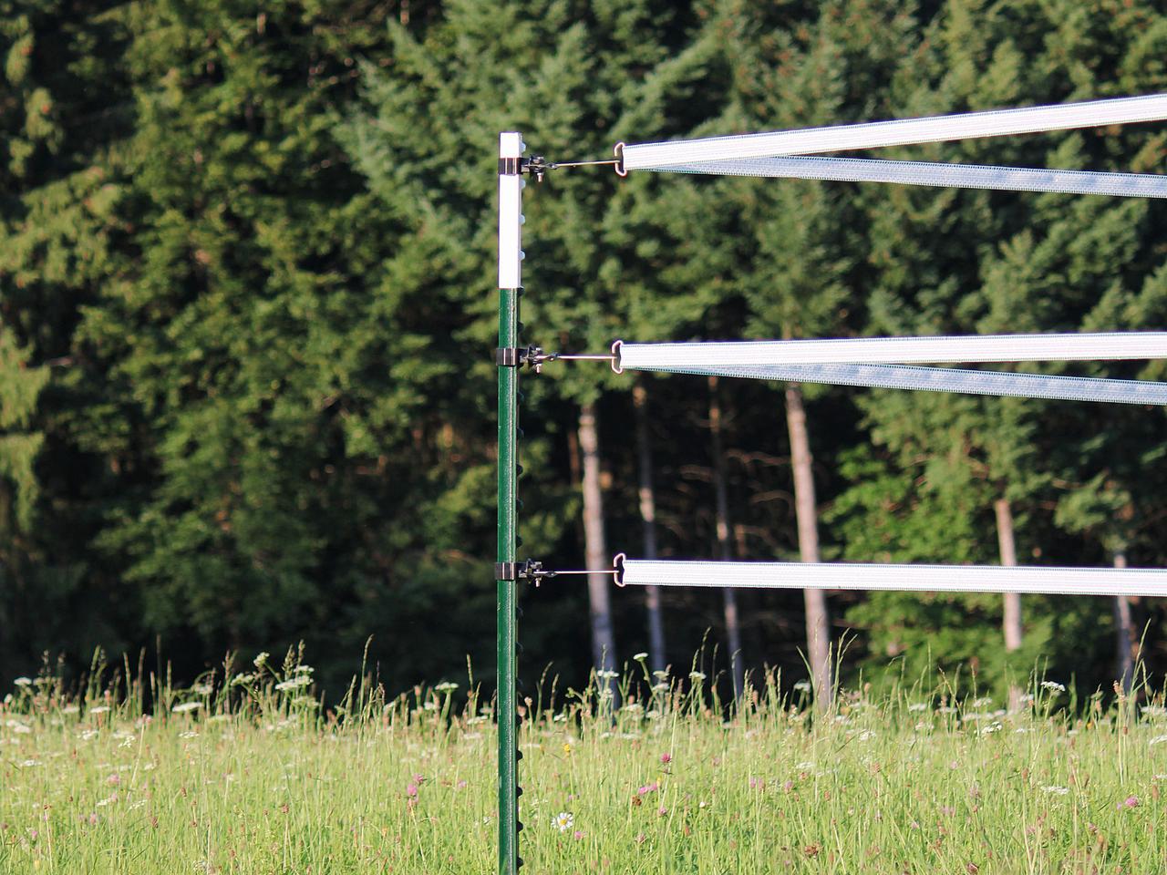Tape/Rope Corner Solution T-Post