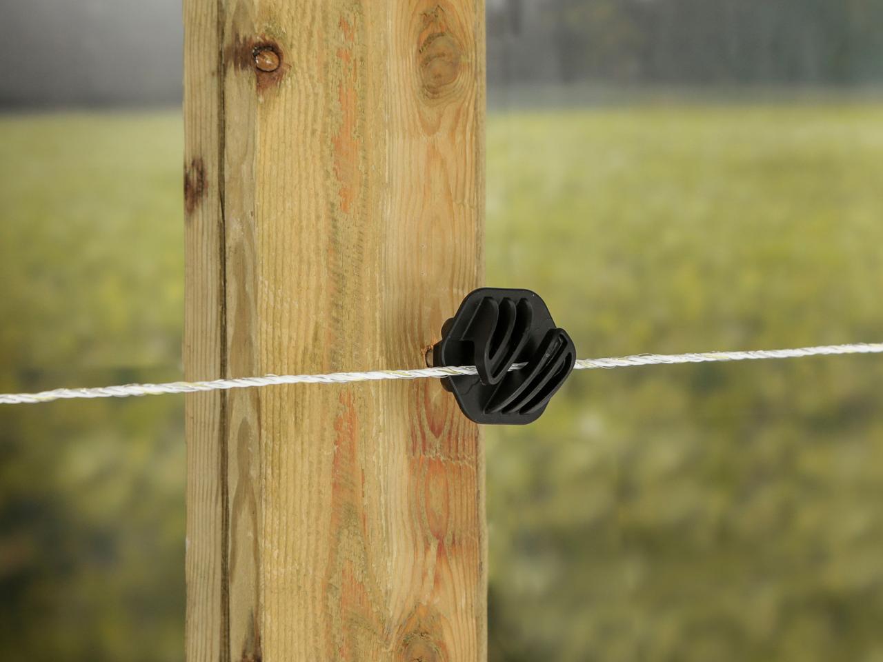 Poly Wire
