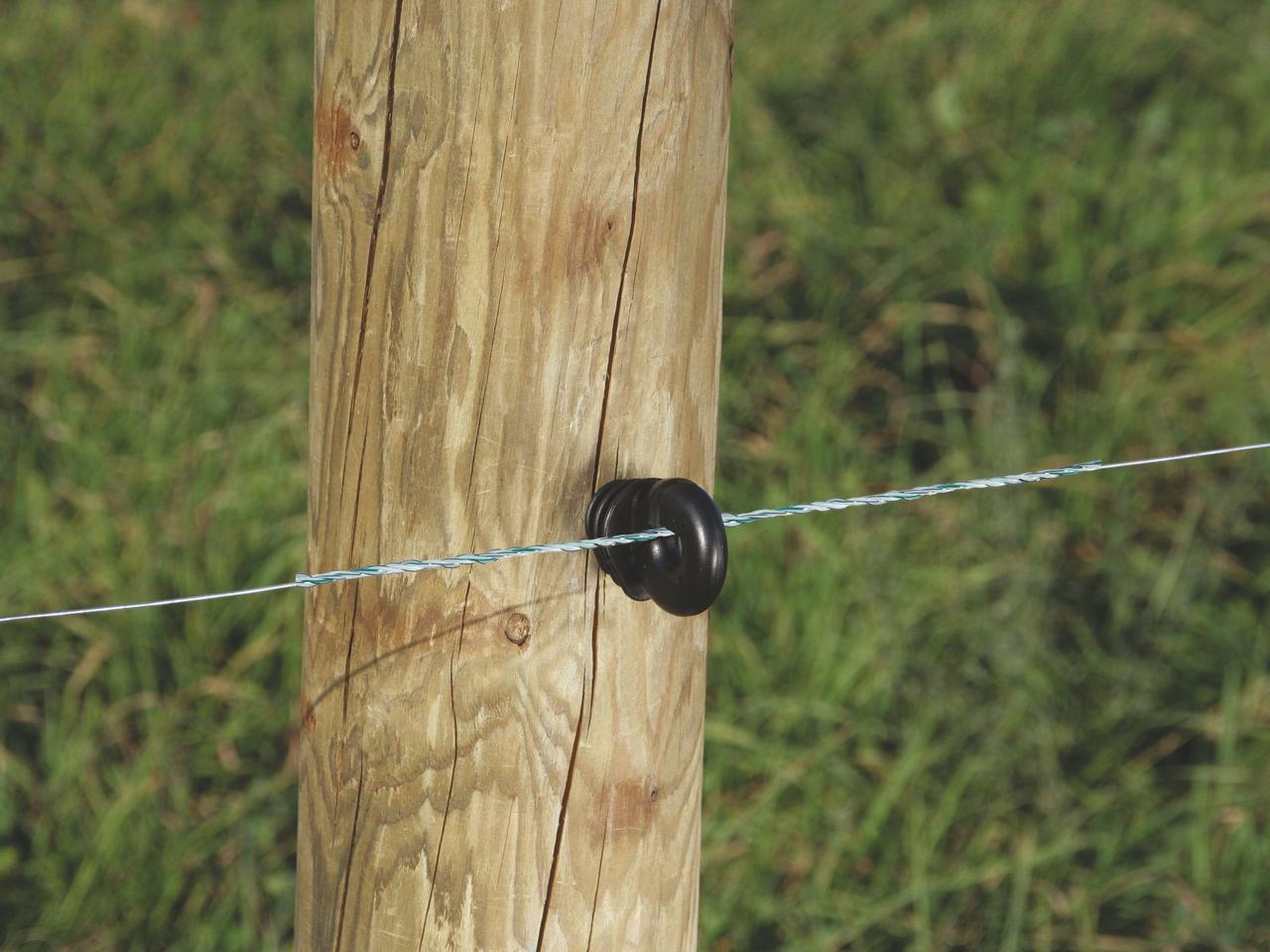 Poly Wire
