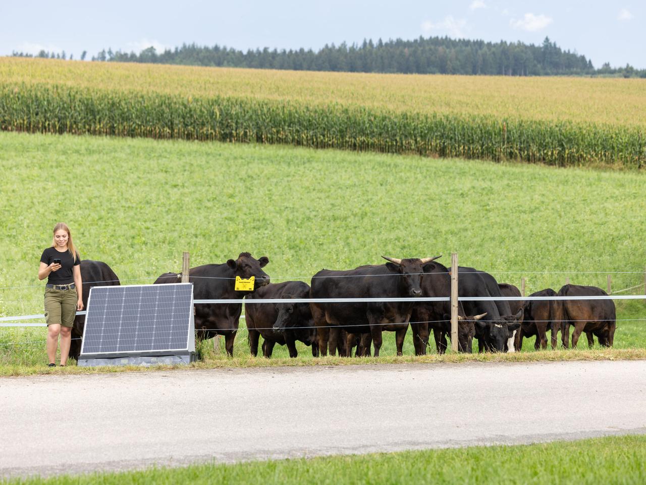 AKO Solar-PowerStation smart
