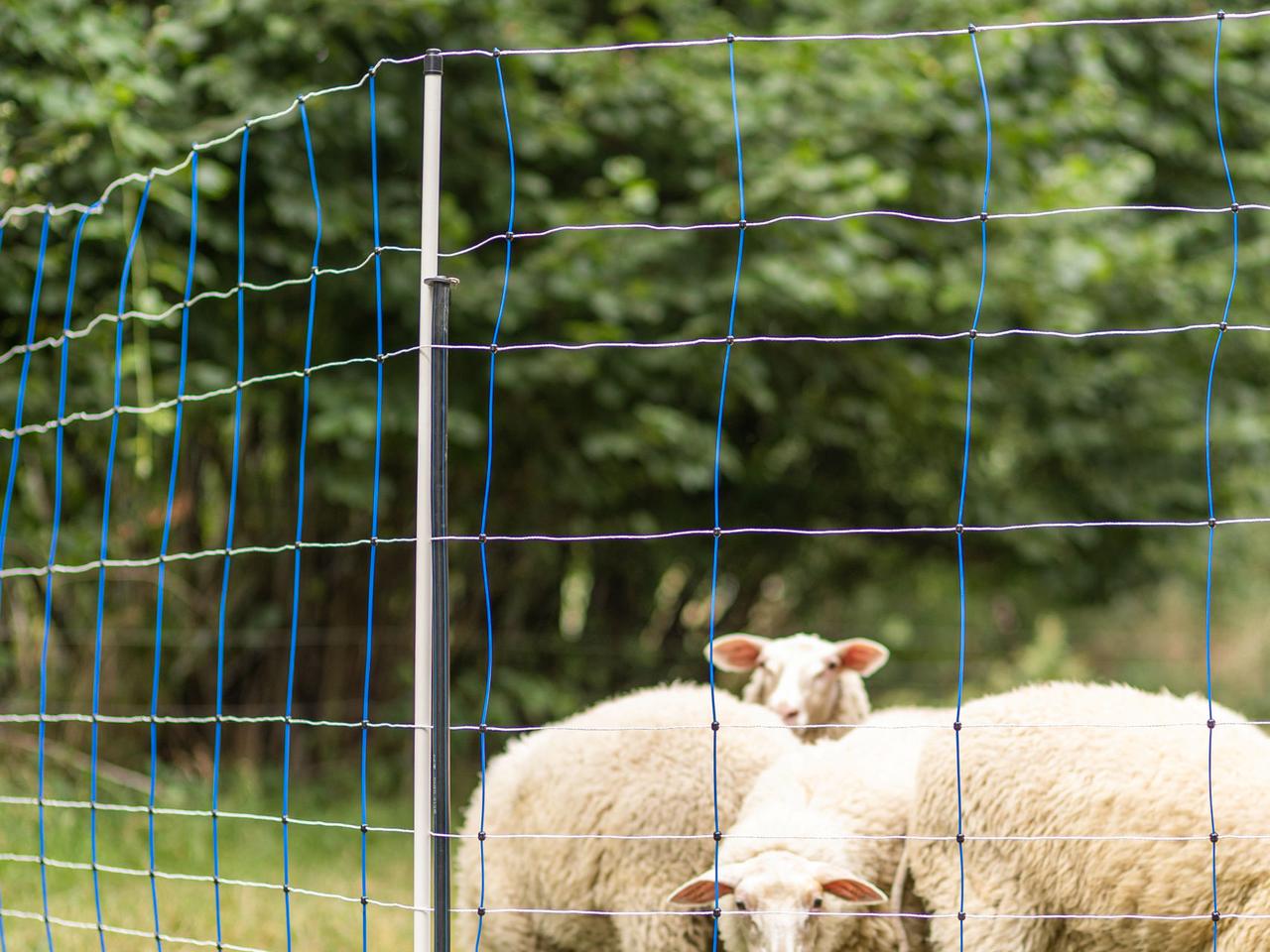 Support Post for Field Netting