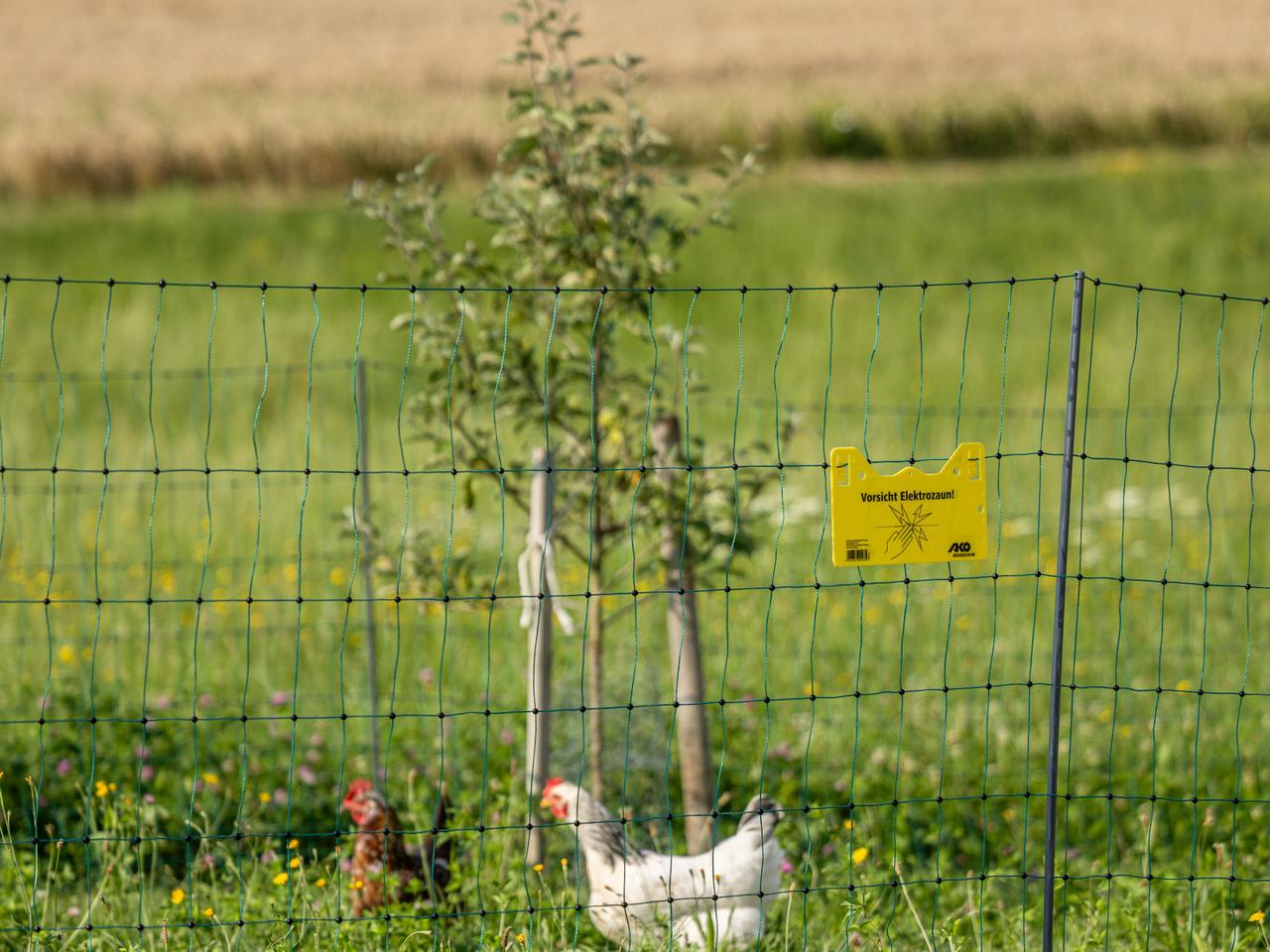 Premium Poultry Net