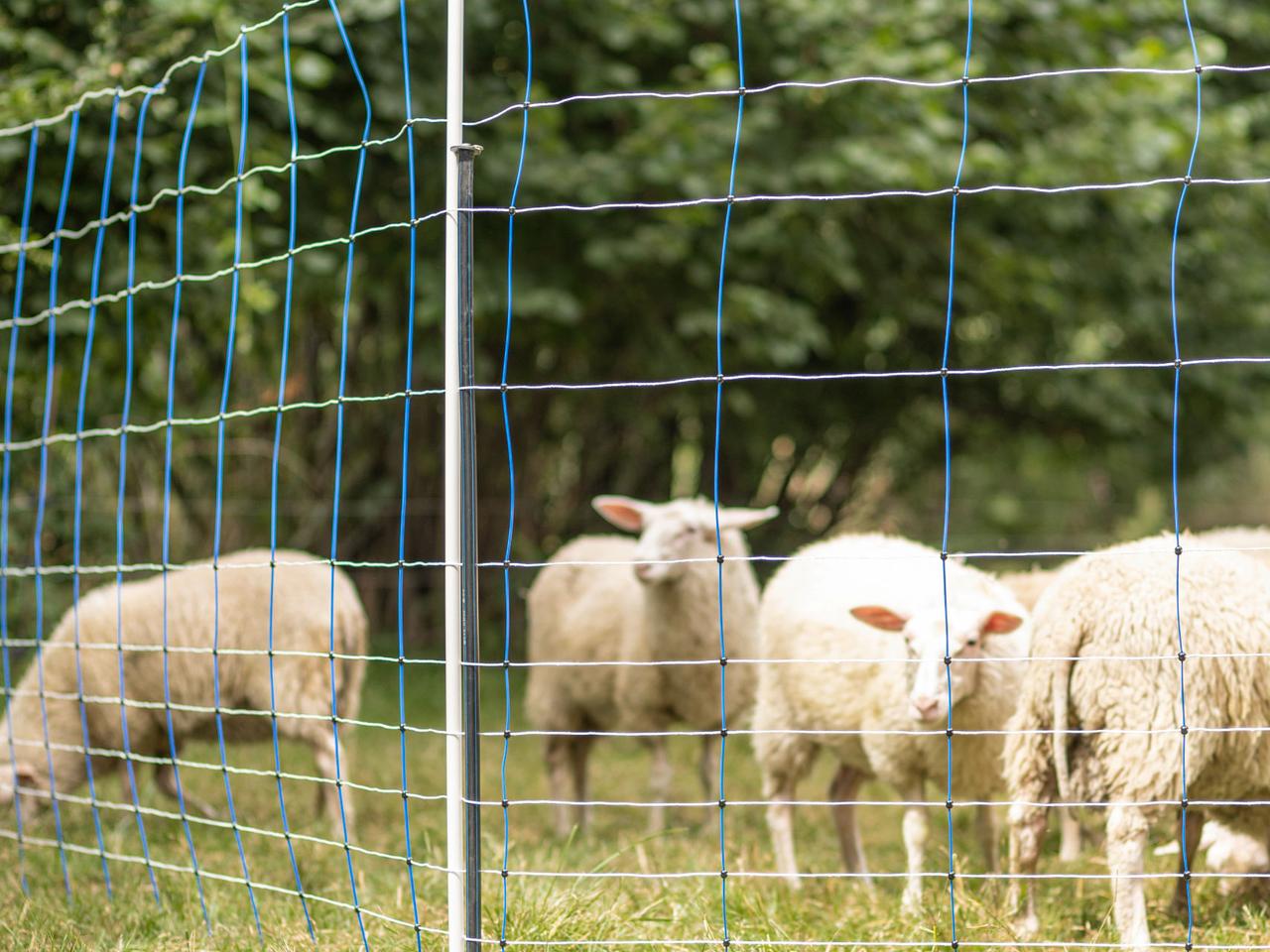 Support Post for Field Netting