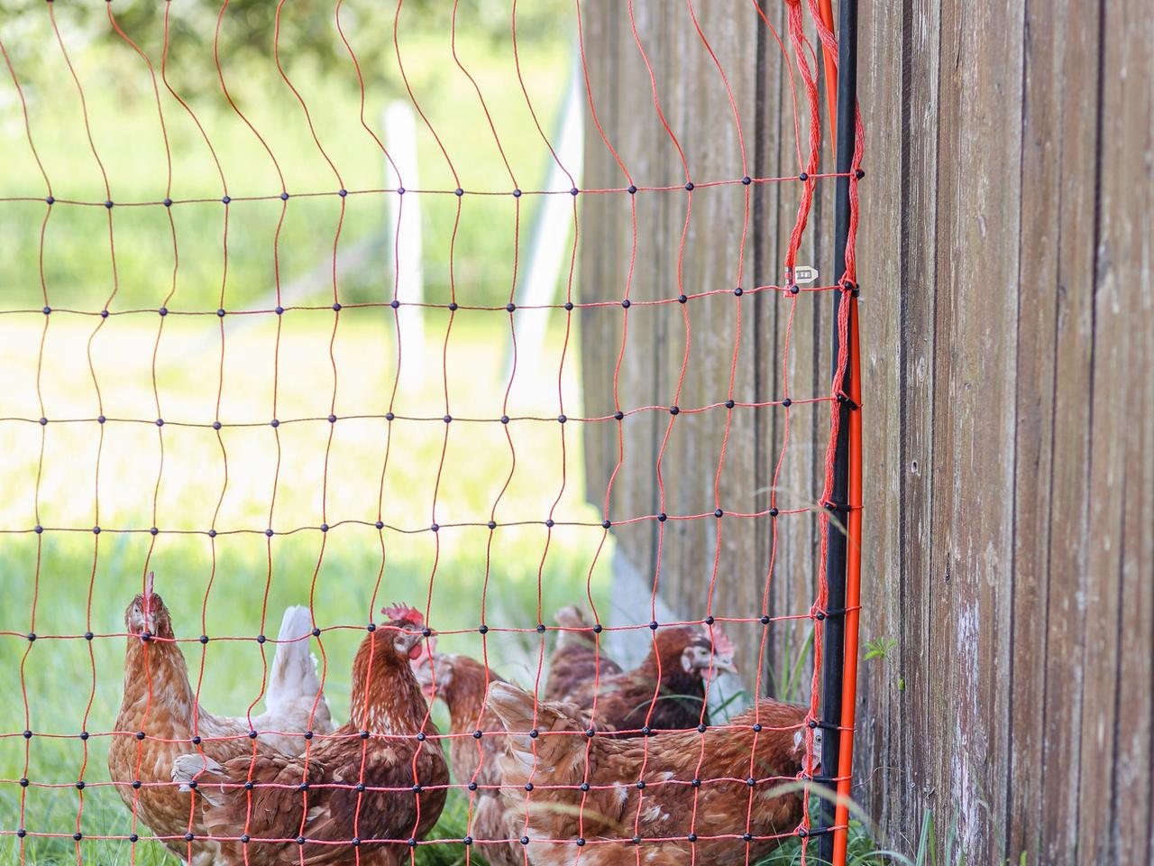 Support Post for Field Netting