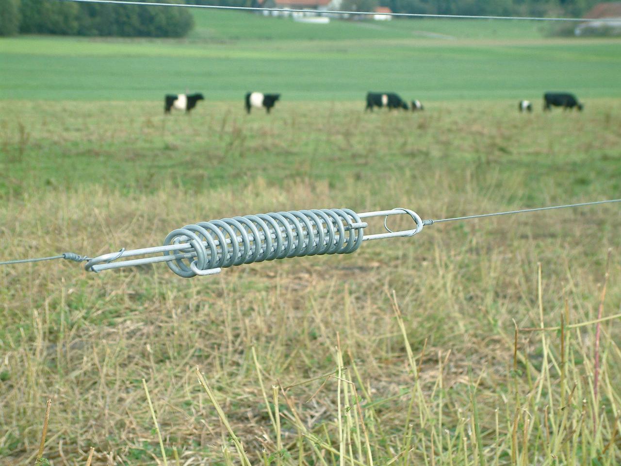 Temperature Equalisation Spring