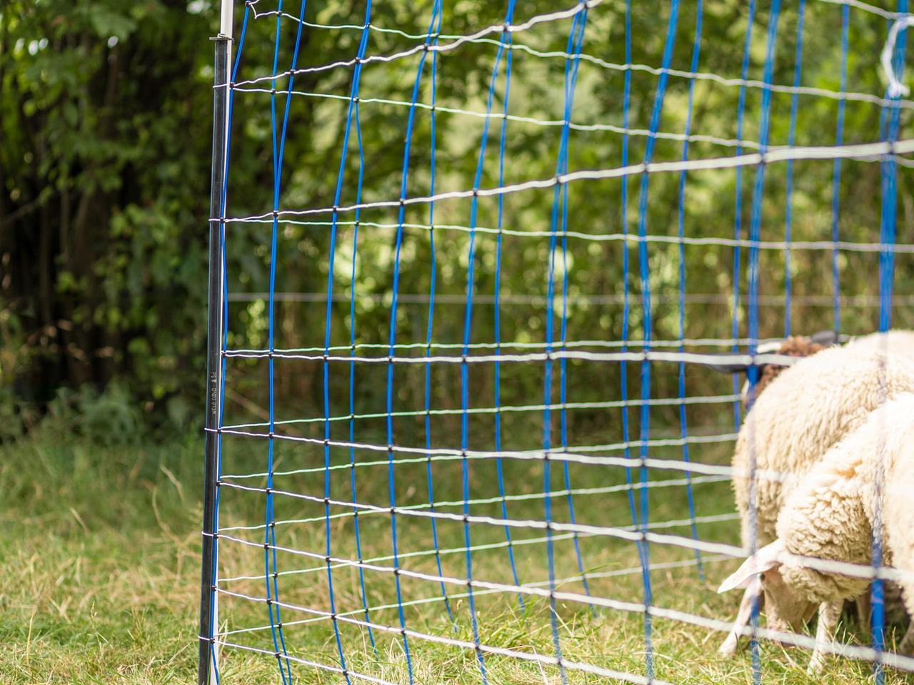 Support Post for Field Netting